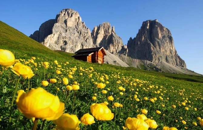 chat-trentino
